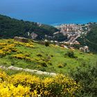 2 Sessarego - Ginestre