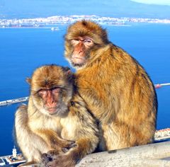 2 starke Typen oberhalb von Gibraltar