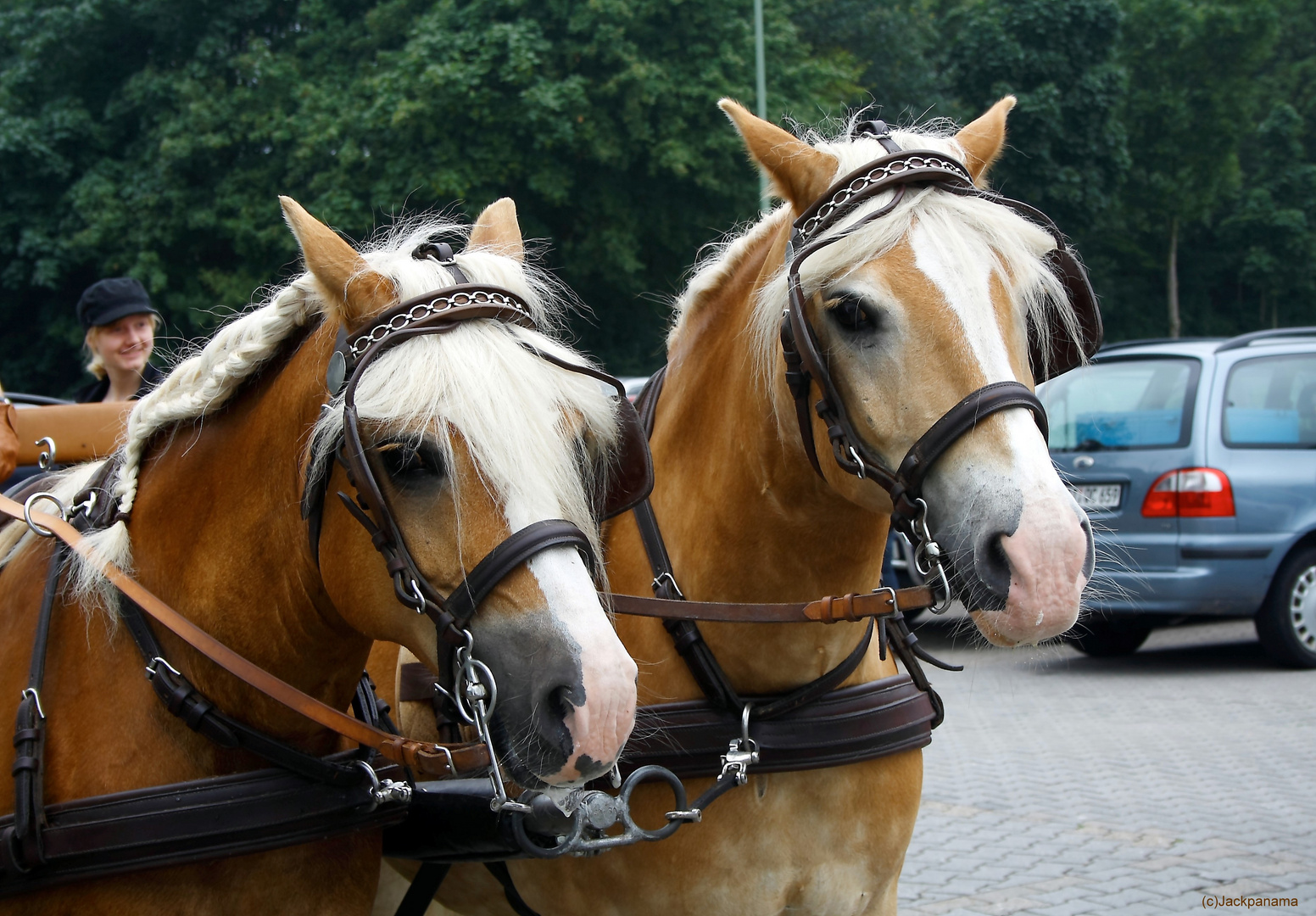 "2 Stars" beim Kutschenkorso in Kirchhellen