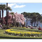 2 Tage zurück: Locarno im Frühling...