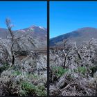 _ 2. Teide _