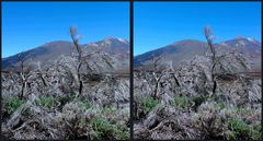 _ 2. Teide _