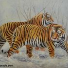 2 Tiger im Schnee (Handgemaltes Ölgemälde)