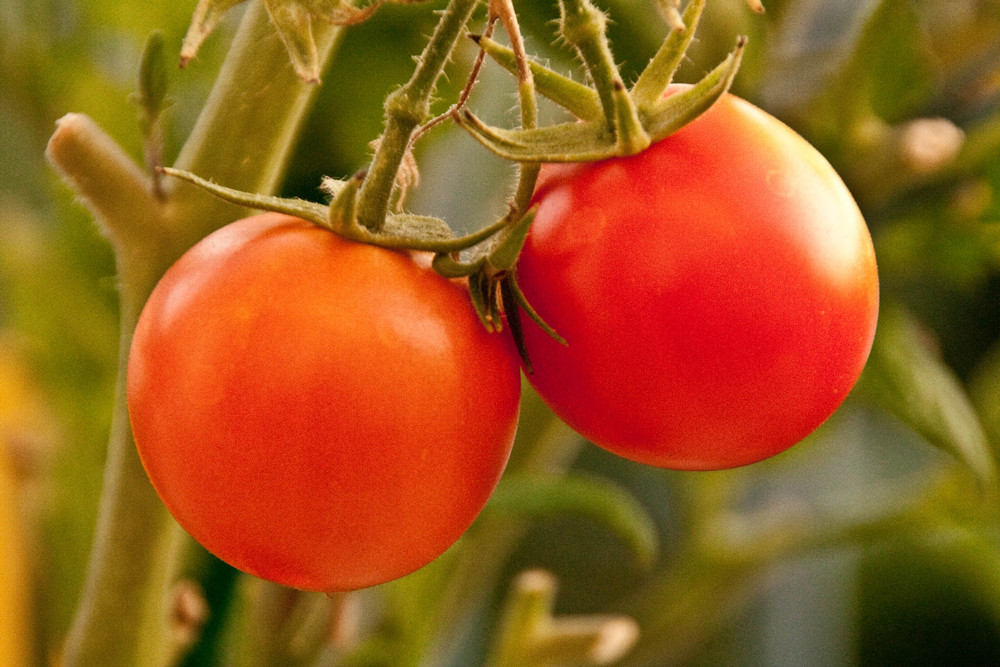 2 Tomaten