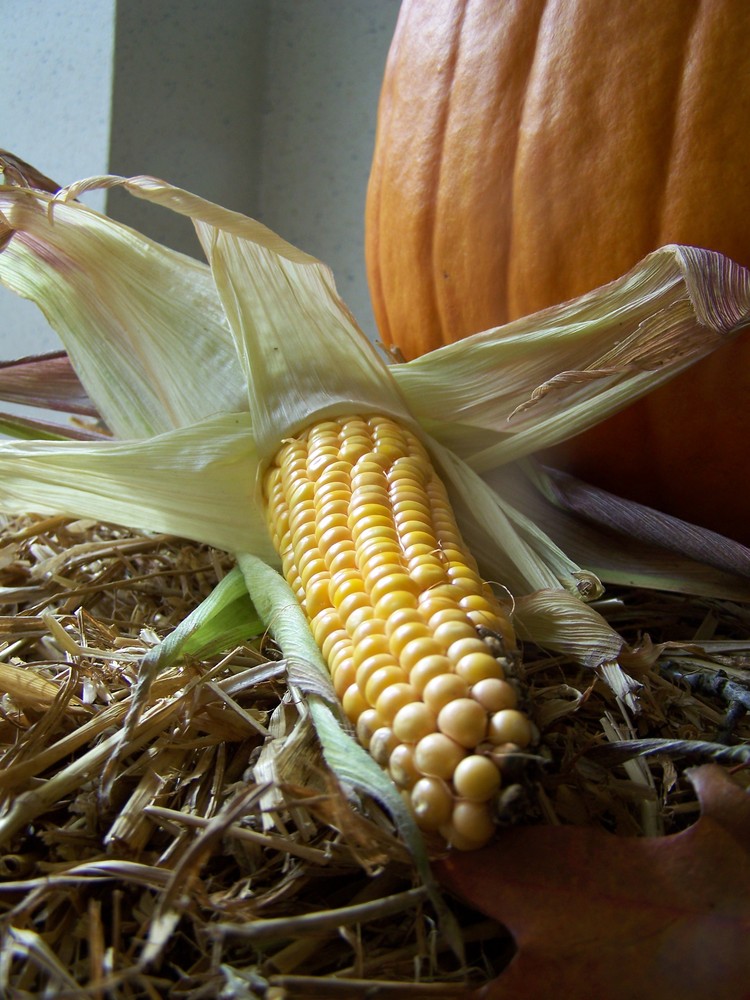 2 typische Herbstboten