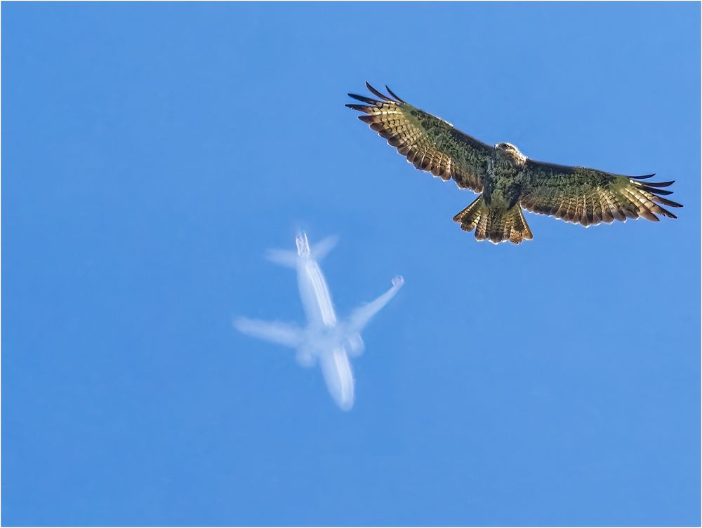 2 Überflieger … Da steht er drunter.