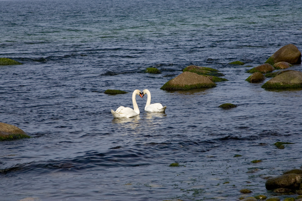 2 Verliebte an der Ostsee