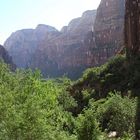 2. Versuch vom weinendem Felsen im Zion