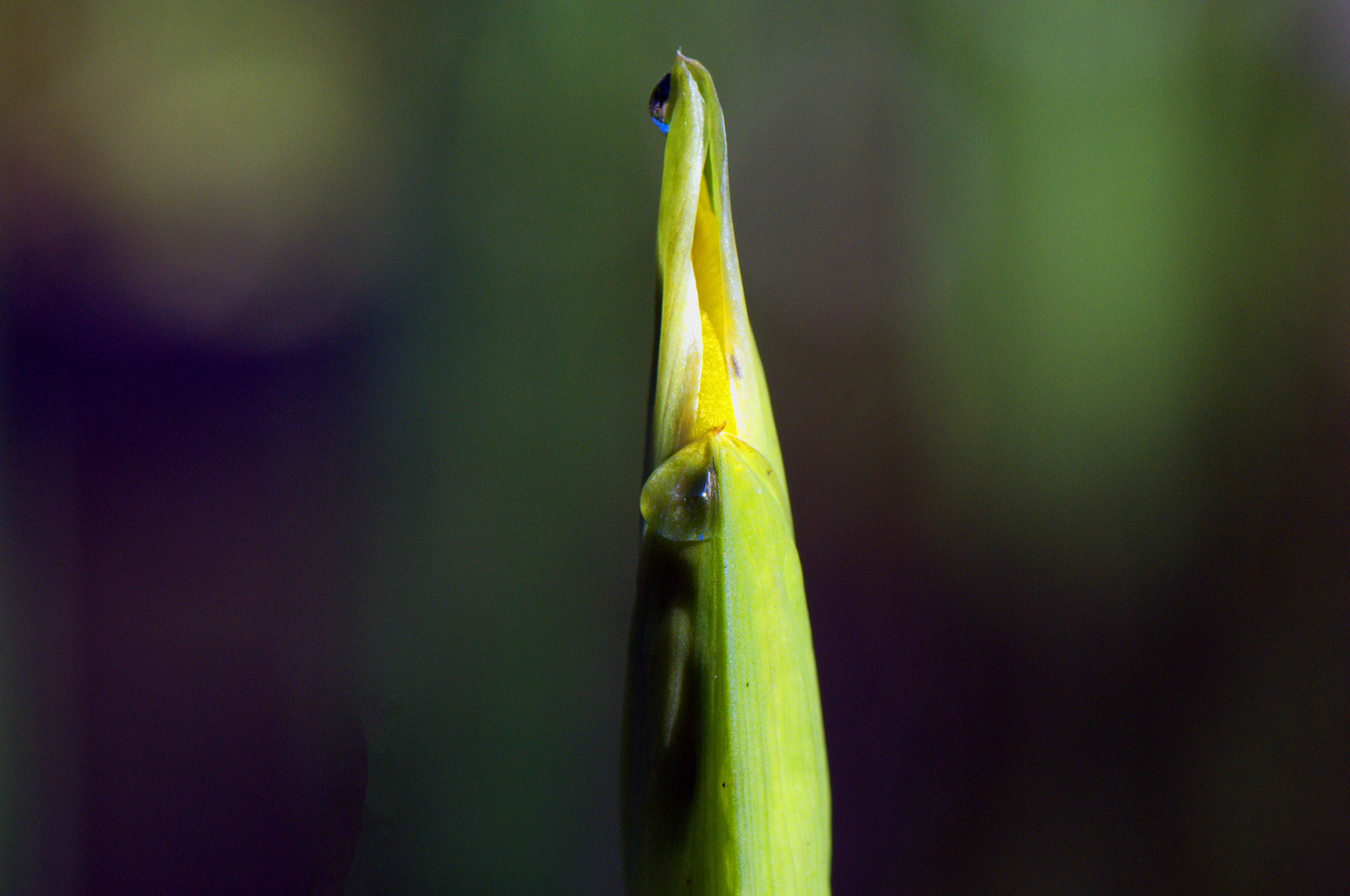 2 Wassertropfen