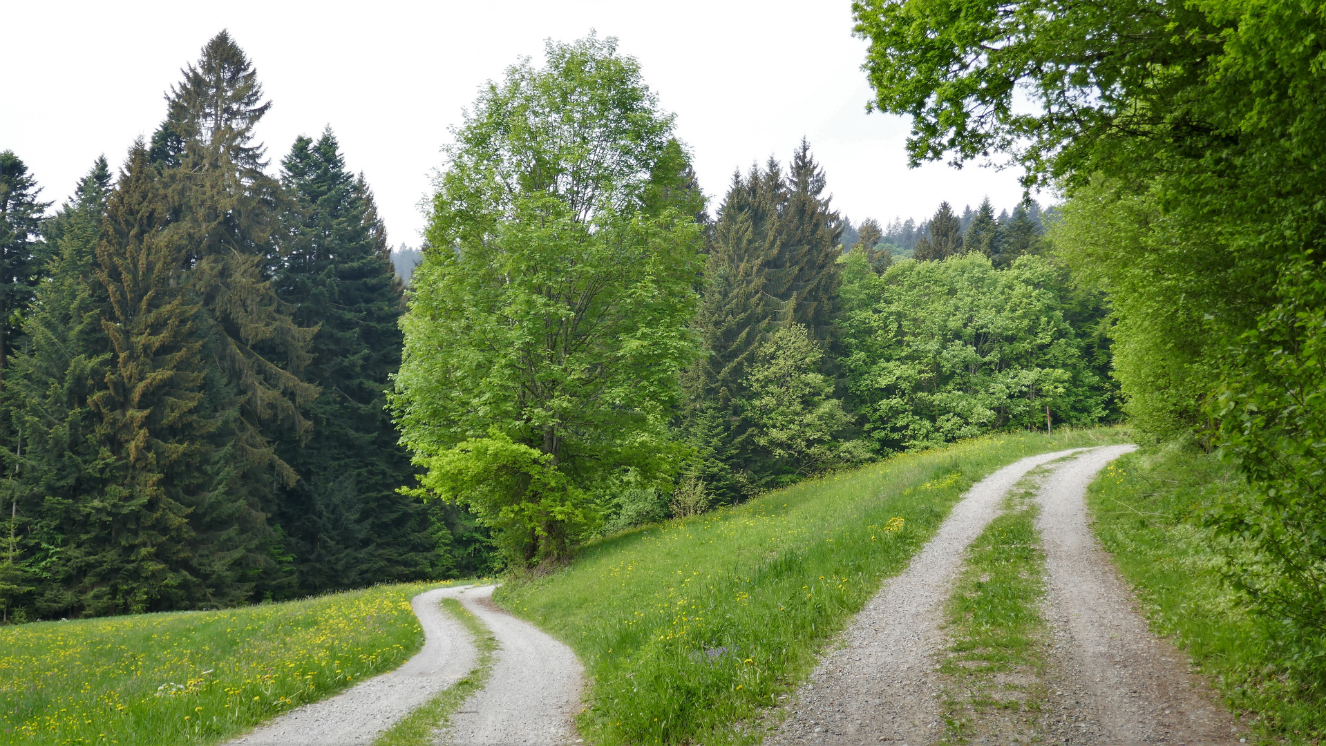 2 wege Foto & Bild | europe, Österreich, landschaft Bilder auf