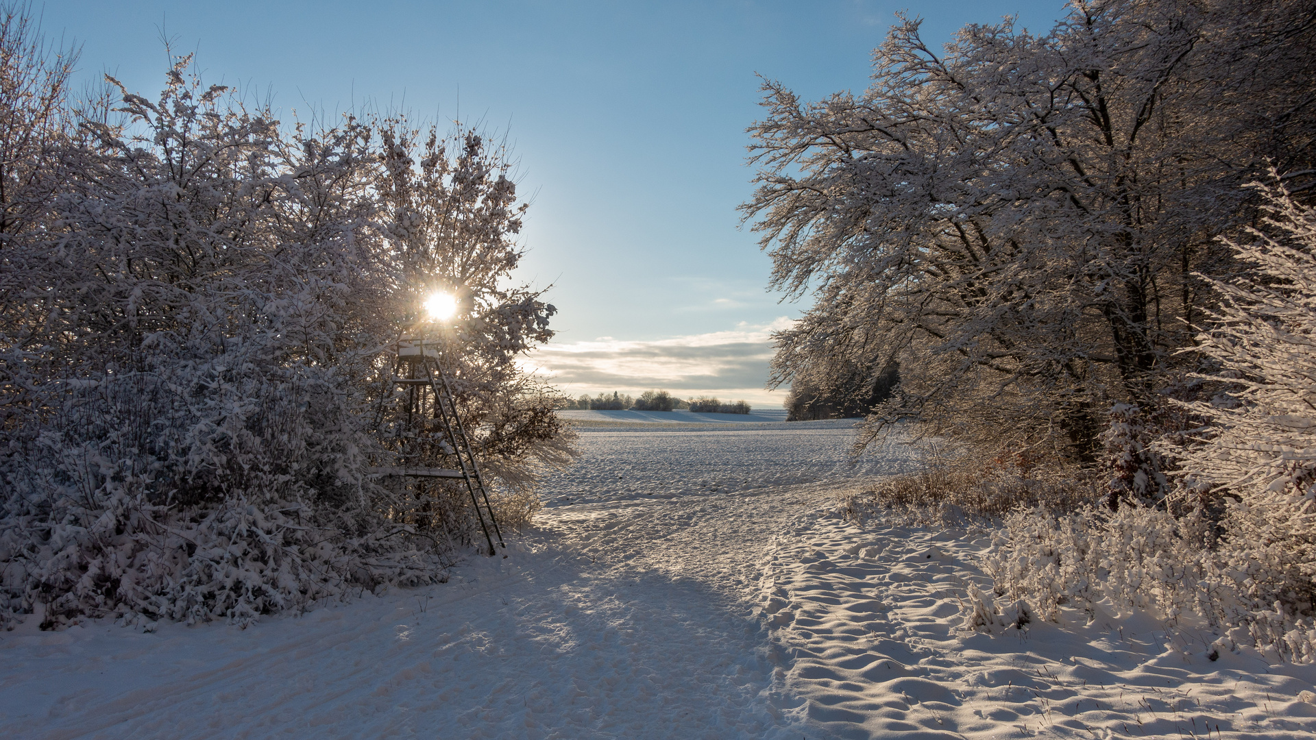 2. Weihnachtsfeiertag 2020 - Schnee