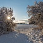 2. Weihnachtsfeiertag 2020 - Schnee