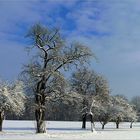 2. Weihnachtsfeiertag*