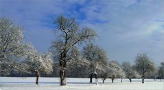 2. Weihnachtsfeiertag*