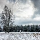 2. Weihnachtsfeiertag im Oberharz - oder auch: Die Invasion der Schneemänner