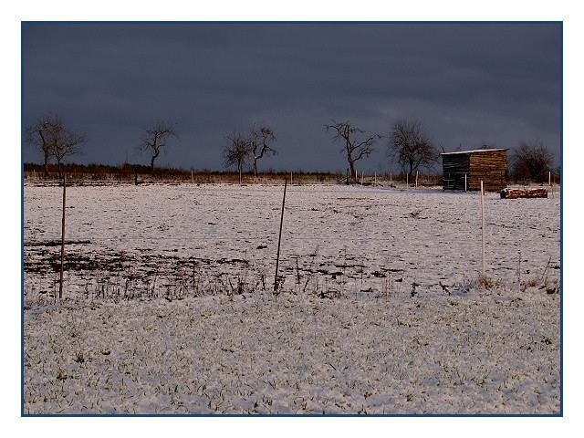 2. Weihnachtstag 2005 II