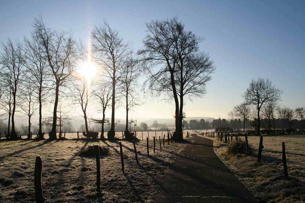 2 Weihnachtstag in der Eifel