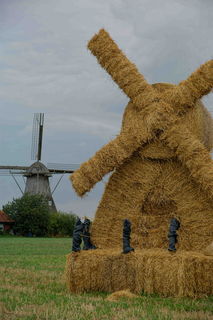 2 Windmühlen im Münsterland