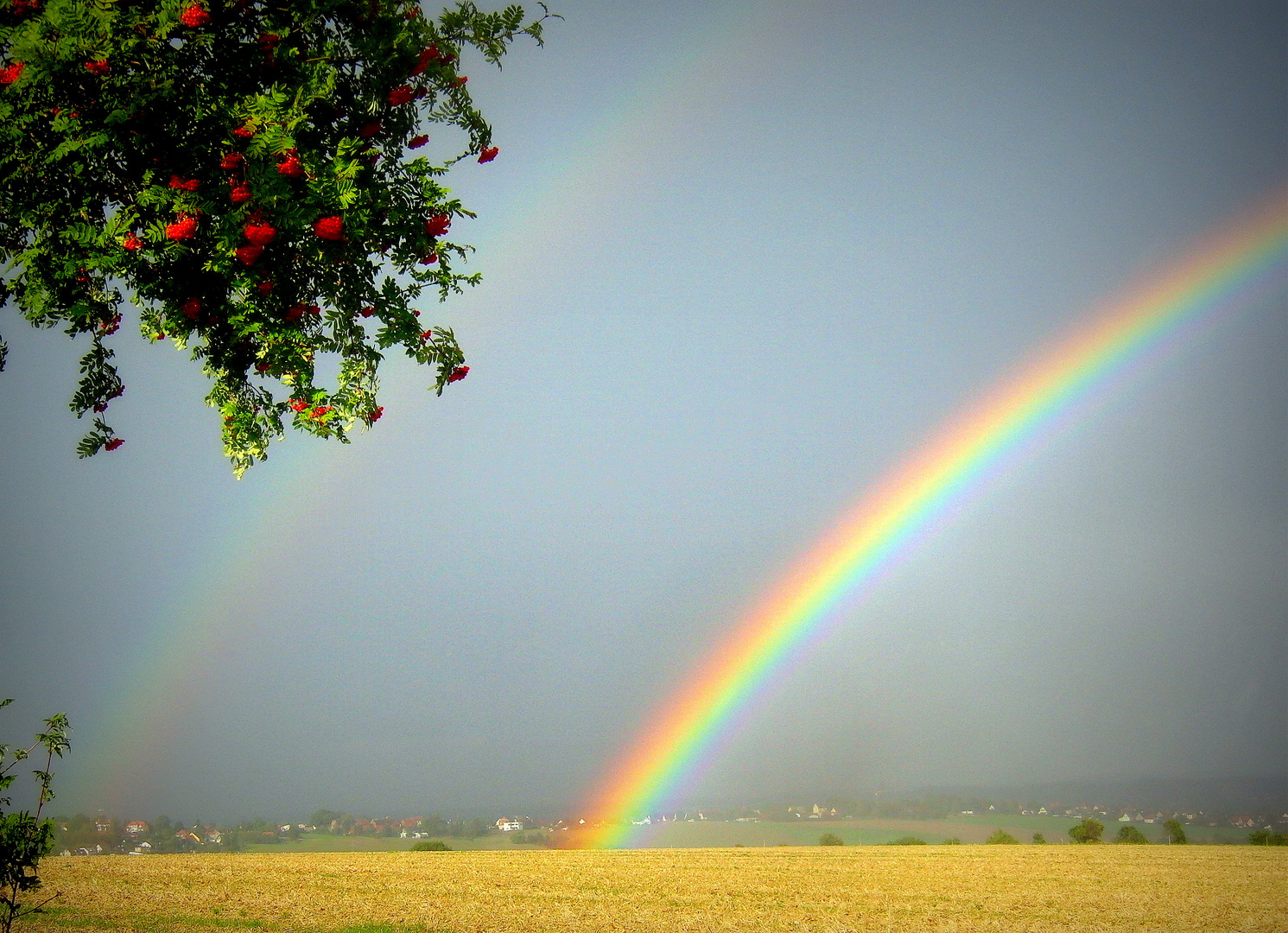 2 x Regenbogen