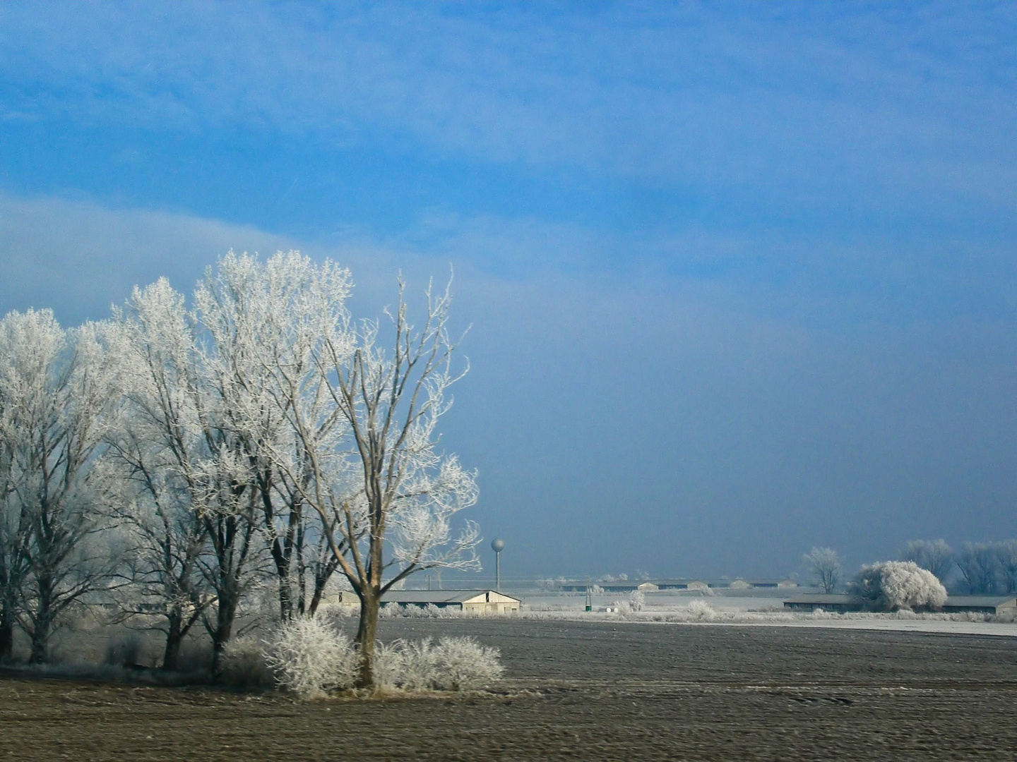 -20°