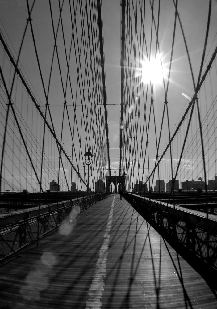 20$ fisheye tribute to Holga on Brooklyn Bridge