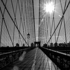 20$ fisheye tribute to Holga on Brooklyn Bridge