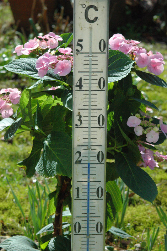 20 Grad Celsius 20. März 2005