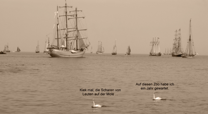 20. HanseSail