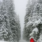 20 km in dieser Landschaft und ihr braucht keinen Psychologen .. alle Probleme sind weg!!!