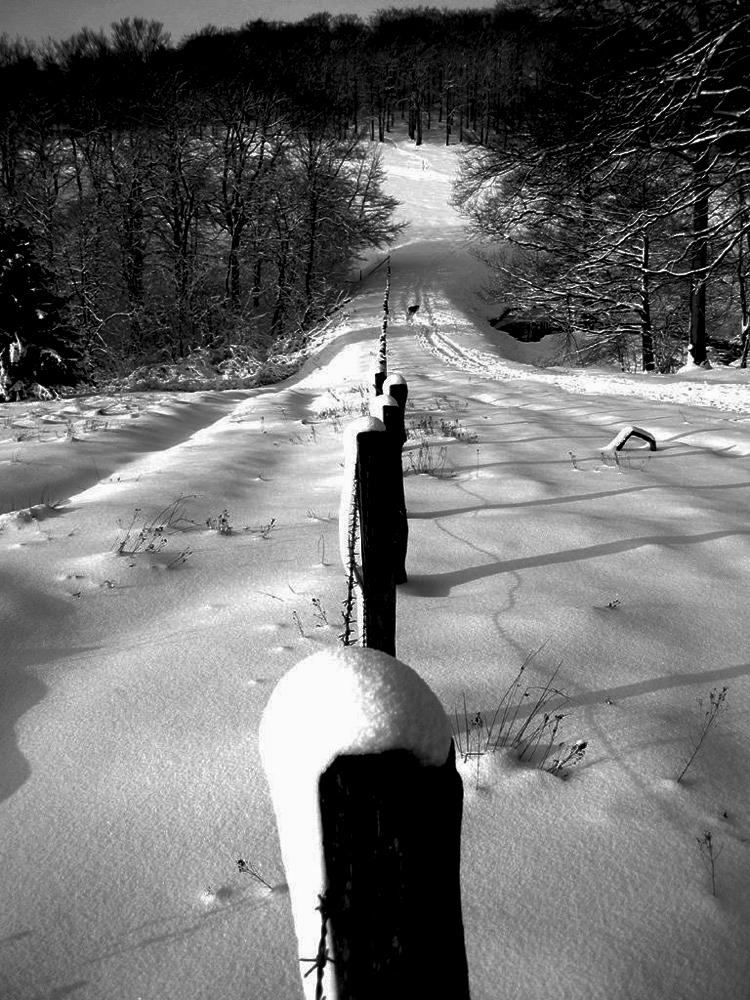 20 marzo 2013 - un bel inizio di...primavera (Sauerland - Germania)