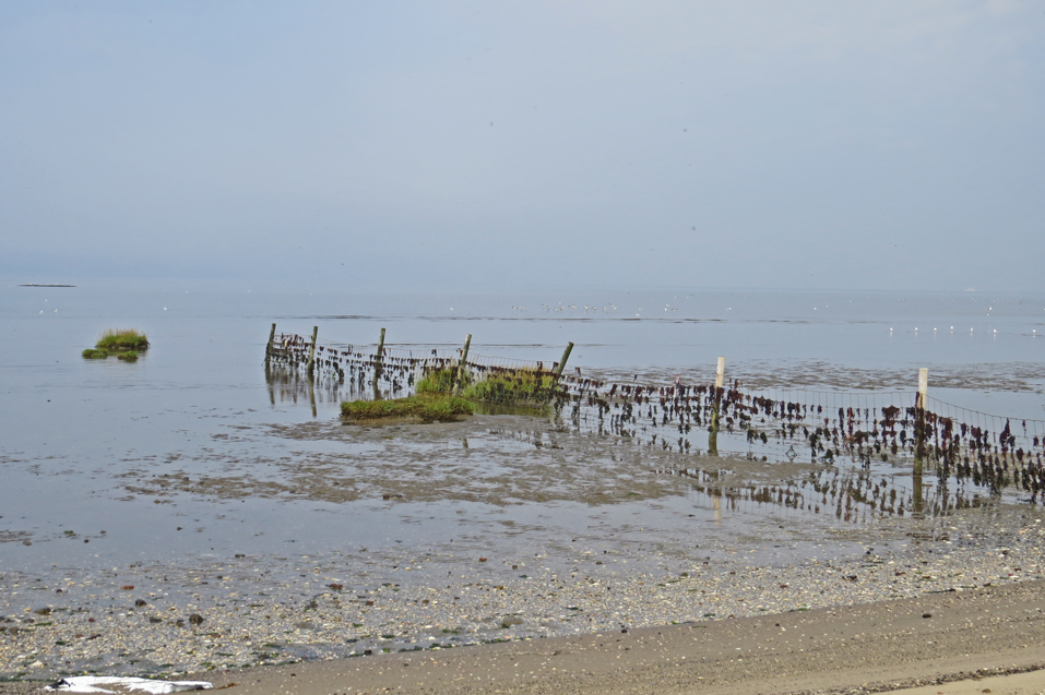 20. Sept. 2014, Watt bei Greetsiel.