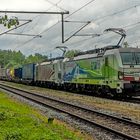 20 Years Quality on Rail