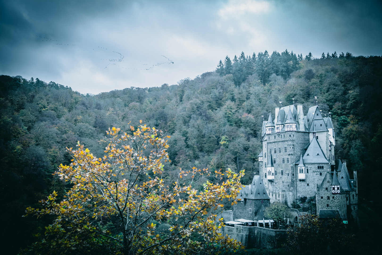 200 Gänse über Burg Eltz