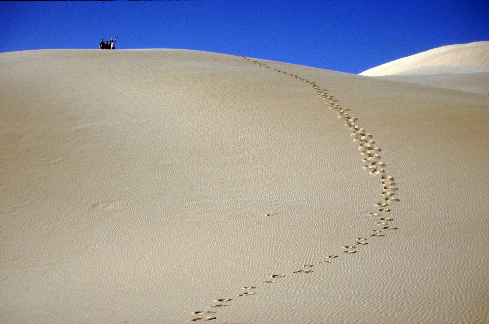 20020225_Suedafrika_288