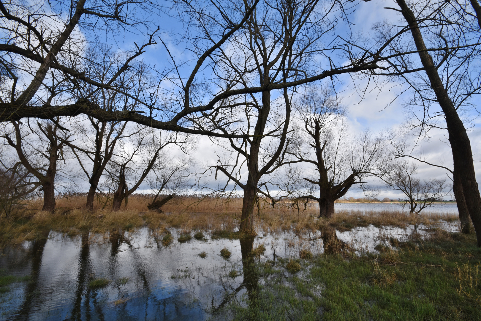 200219 - Wasserwelt