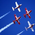 2003 CAF Airshow / Snowbirds