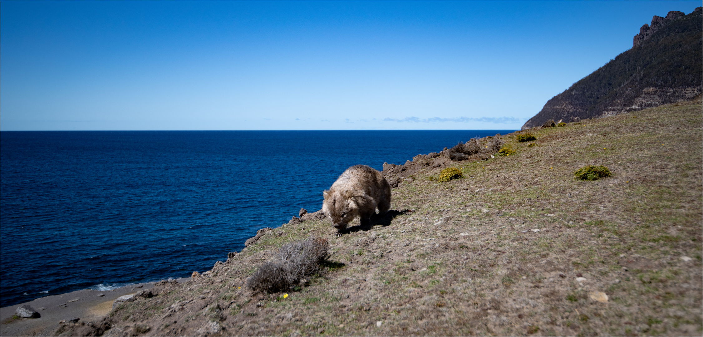 200311  Tasmanien 2744-Bearbeitet