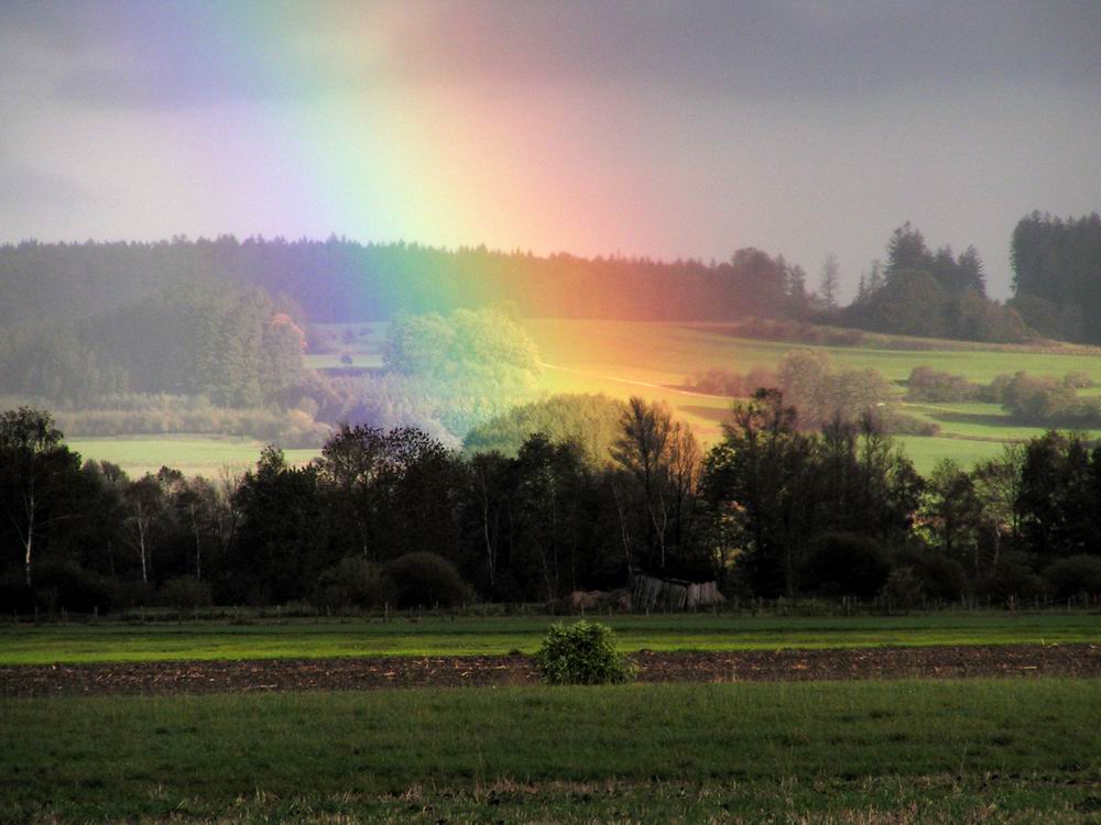 2005-001 - Am Ende des Regenbogens