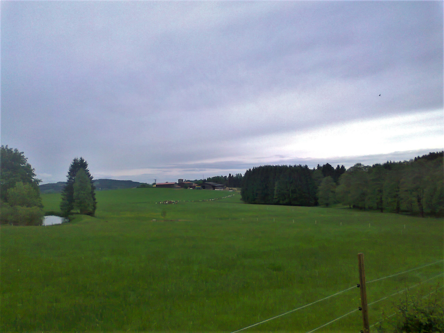 20.05.2015 Landschaftspfleger im Anmarsch(Vergrößern)