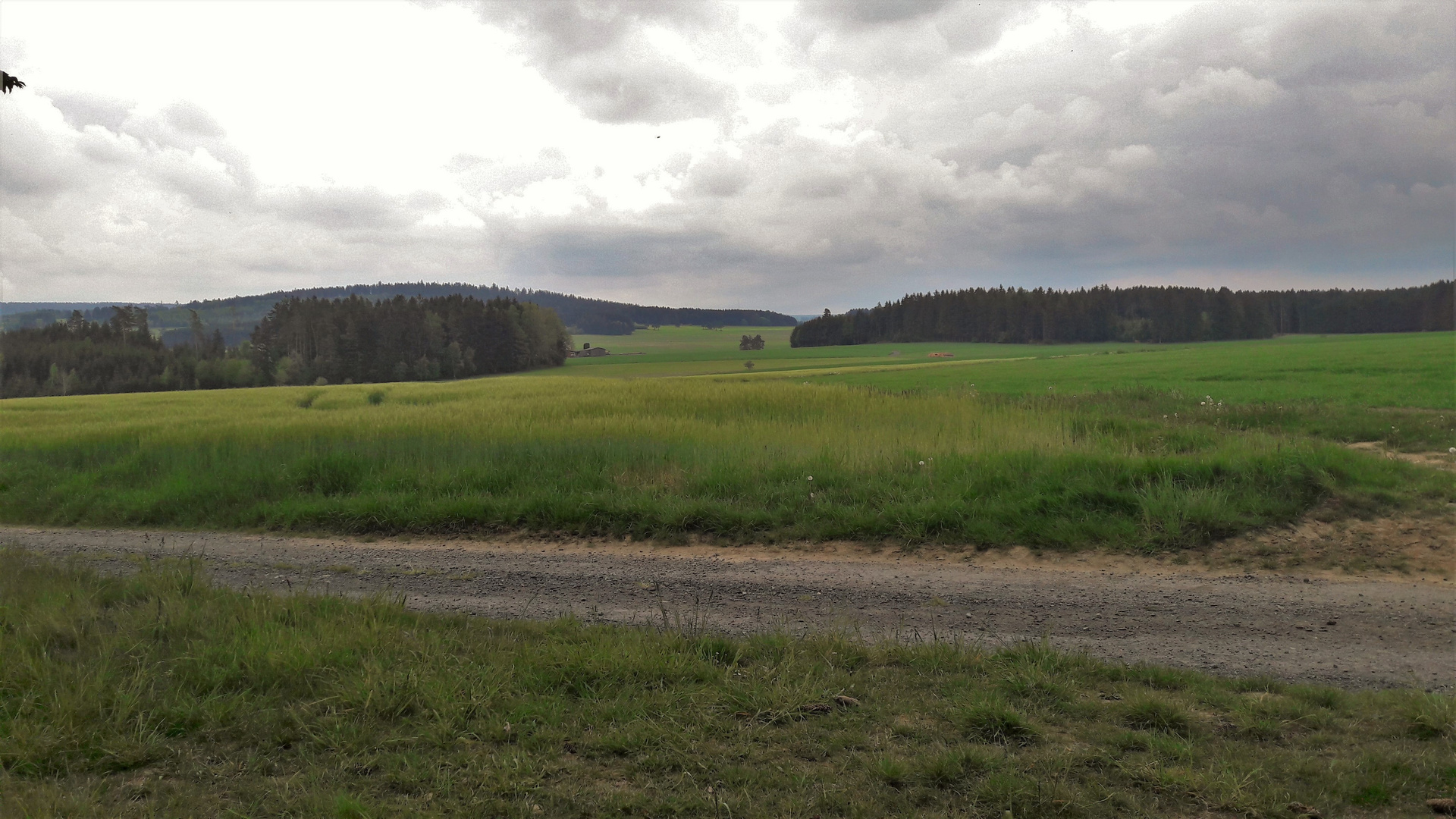 20.05.2020 Blick zum  (magnetisierten)Haidberg