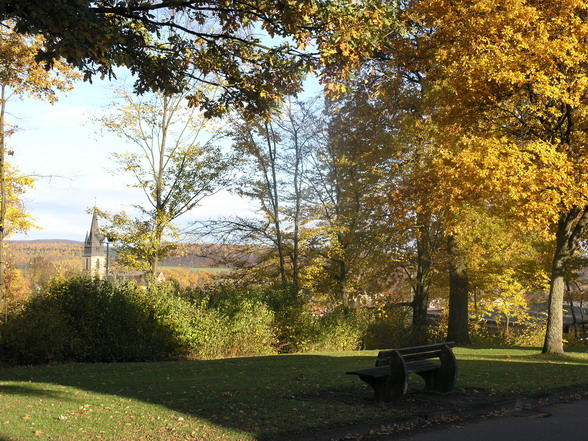 2006 am 15.11. in der Nähe wegen Herbstsonne