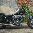 2006_1362 HD Shovel Custom