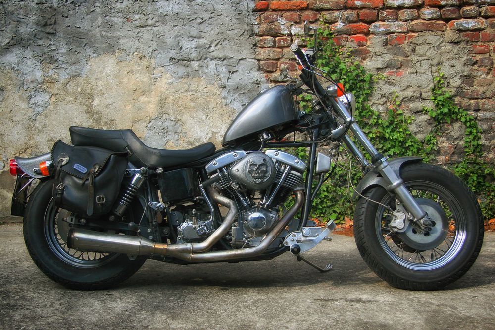 2006_1362 HD Shovel Custom