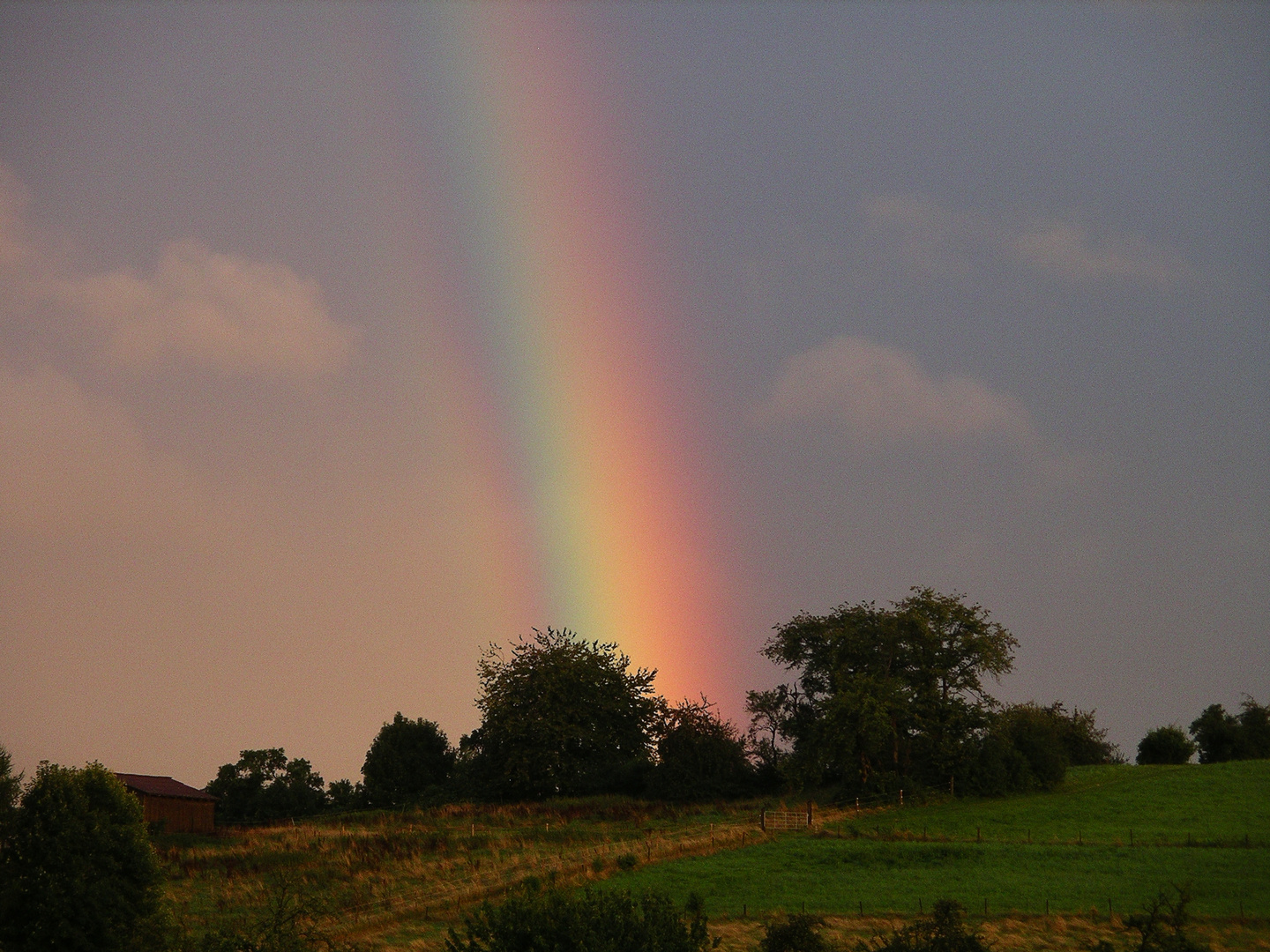 2008-08-04; Regenbogen