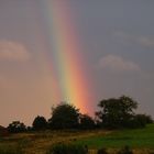 2008-08-04; Regenbogen