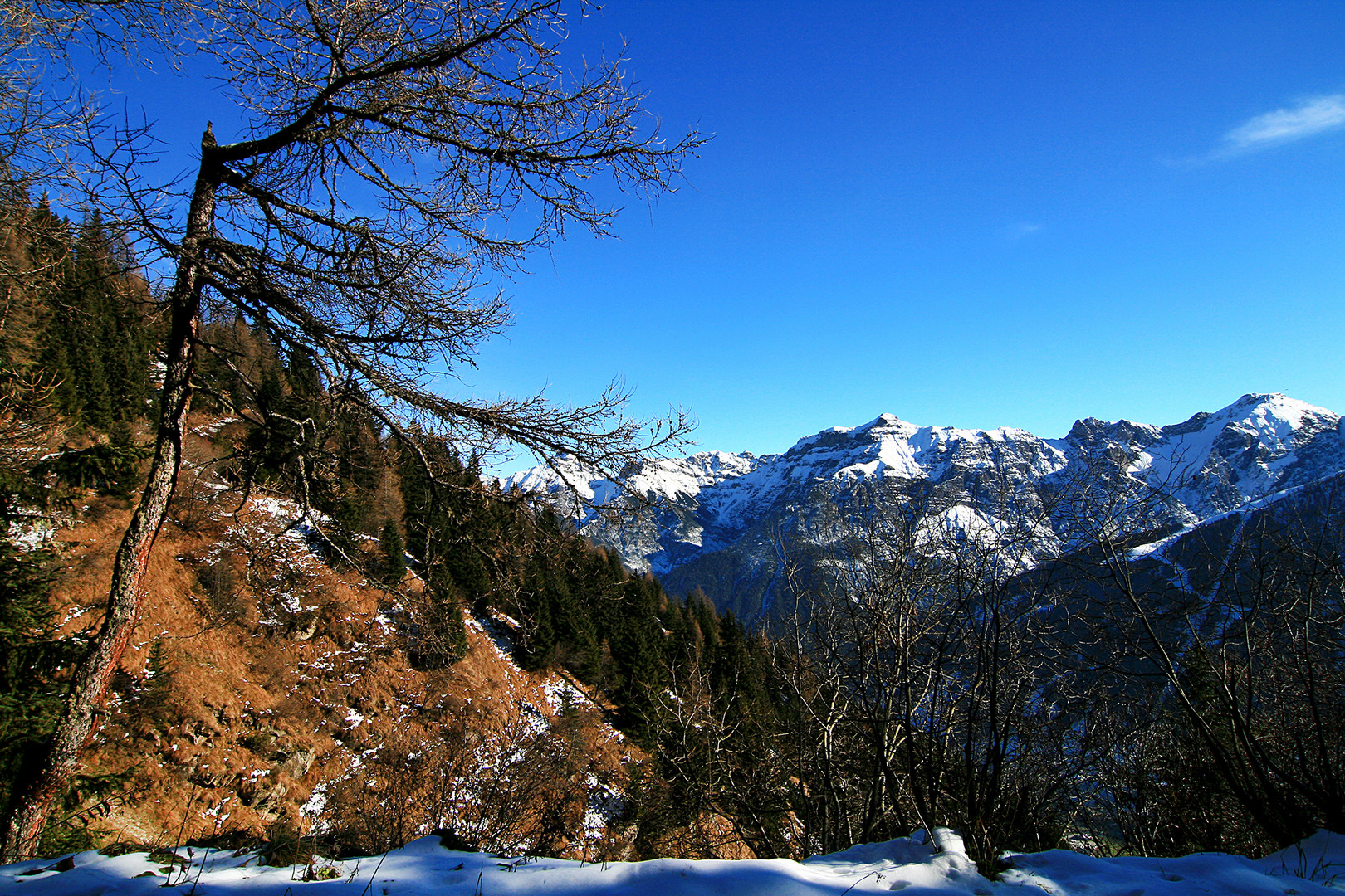 2008 11 16 Blick zur Serles