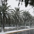 2008 snow at vouliagmenis