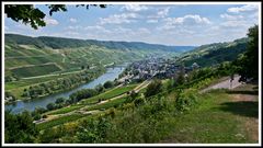 2008_9295 Reil an der Mosel