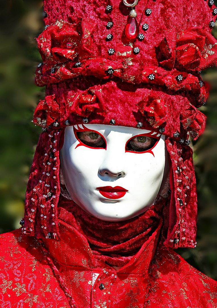 2008....masque de Venise à Paris-bastille