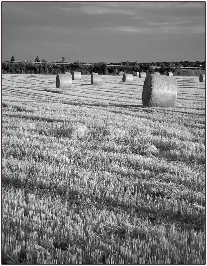 2009-08-11-Germeringer-Strohballen-003